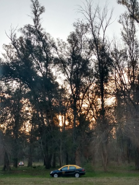 ailuza onlyfans leaked picture 1