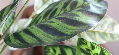 averyabarafree onlyfans leaked picture 1