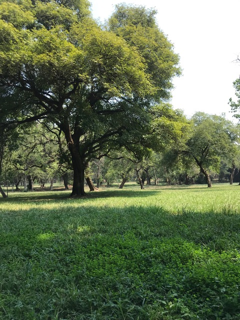 cesar_noceda onlyfans leaked picture 1