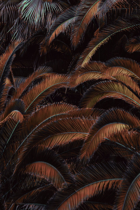 daniellepale onlyfans leaked picture 1