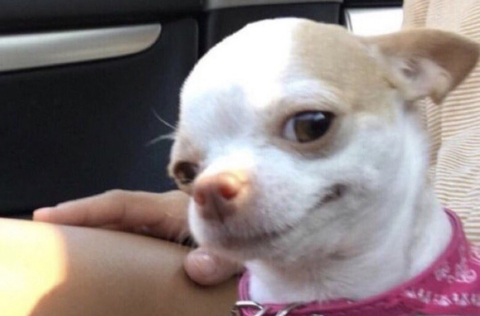 dreezydreaa onlyfans leaked picture 1