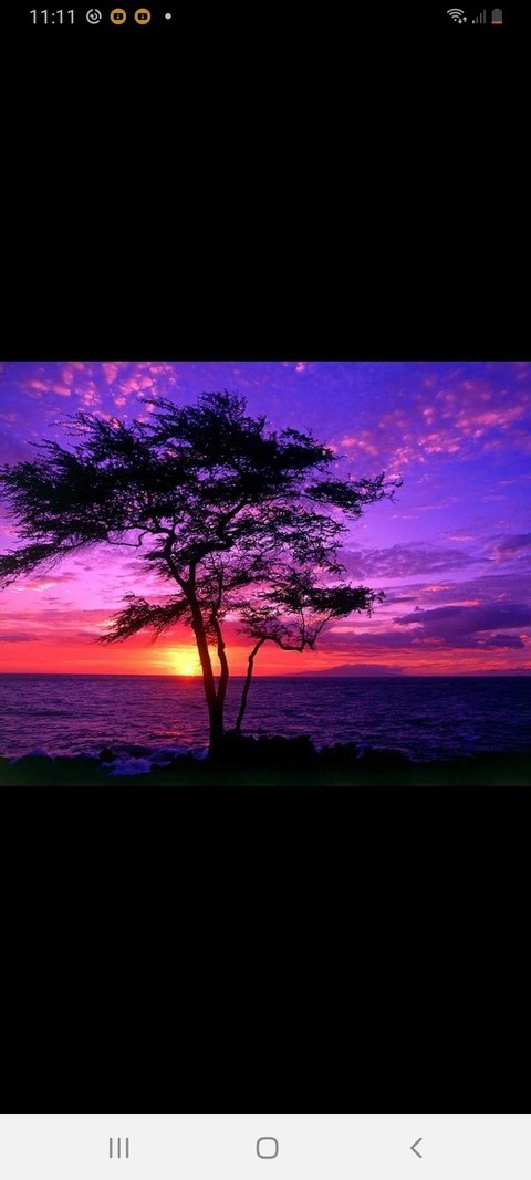 dulceplaceramor onlyfans leaked picture 2