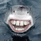 eudora onlyfans leaked picture 1