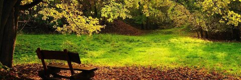 eudora onlyfans leaked picture 2