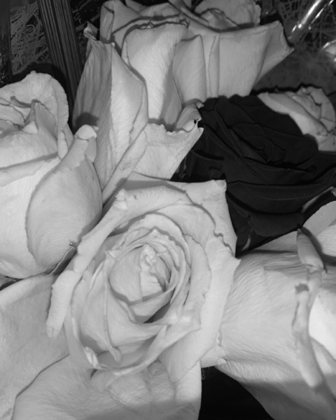 ezzyleetv onlyfans leaked picture 1