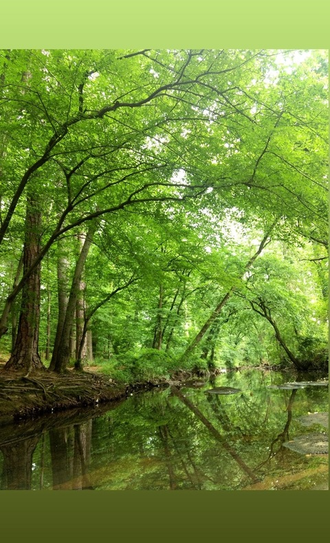 fluideity onlyfans leaked picture 1