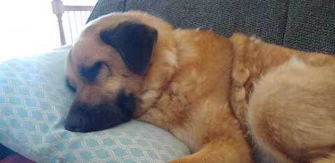 gapeach713 onlyfans leaked picture 2