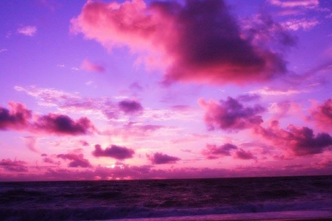 lei_id0lls onlyfans leaked picture 1