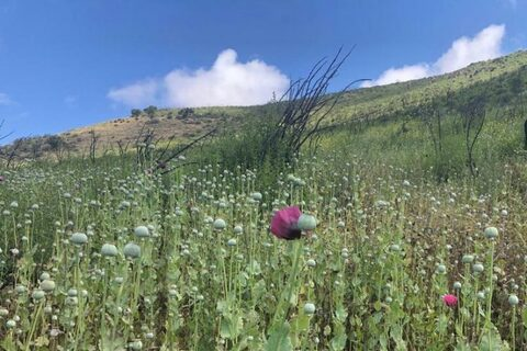 lusifer666 onlyfans leaked picture 2