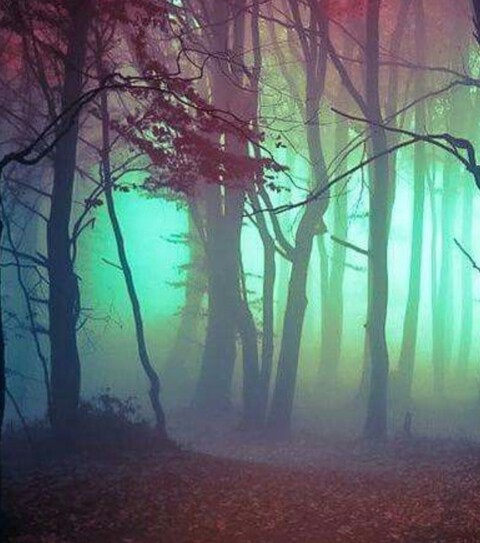 madammisery onlyfans leaked picture 1