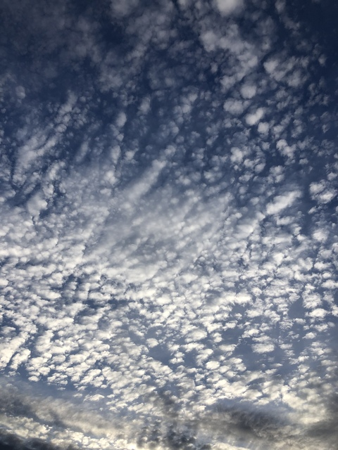 maddy199x onlyfans leaked picture 1