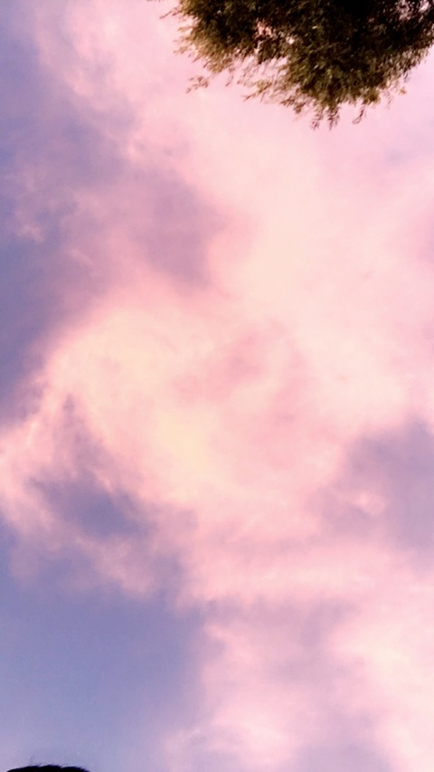 melaninhoneyy onlyfans leaked picture 1