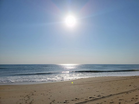 mikemtp32 onlyfans leaked picture 1