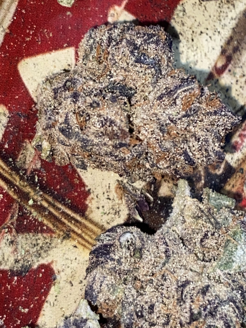 misspressureee onlyfans leaked picture 2