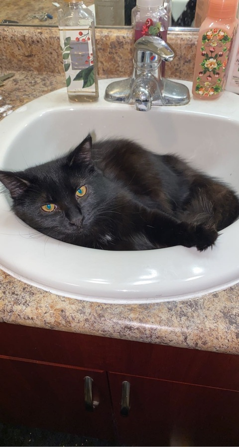 noteasybeinwheezy onlyfans leaked picture 1