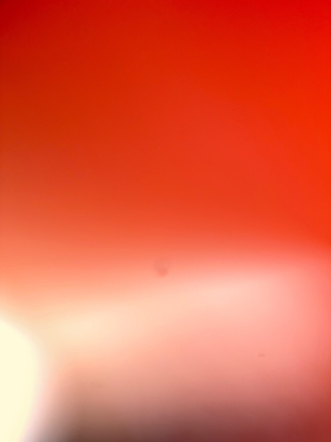 notshy23 onlyfans leaked picture 2