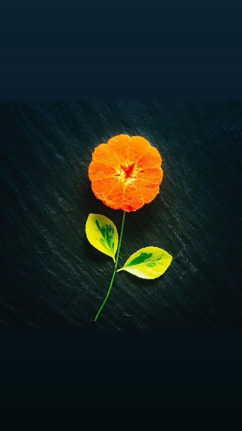 pearl96 onlyfans leaked picture 1