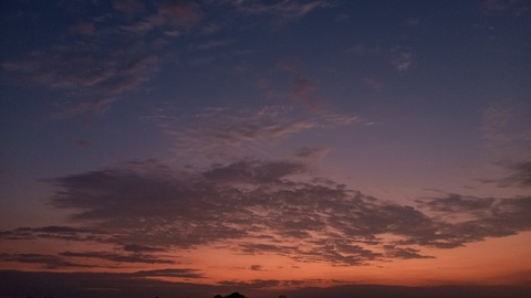 petitemar onlyfans leaked picture 2