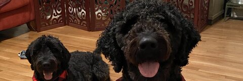 phillybizkitz onlyfans leaked picture 2