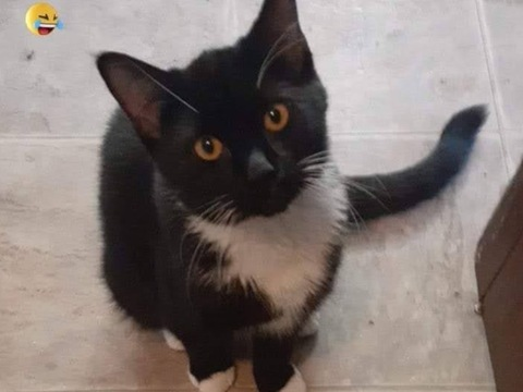 santana2sturdy onlyfans leaked picture 1