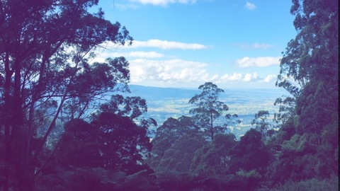 sexymummajean onlyfans leaked picture 1