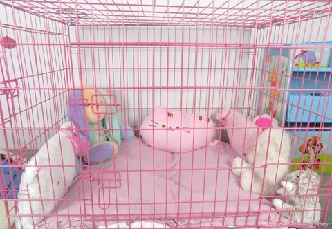 tenshirachel onlyfans leaked picture 1