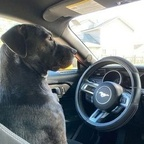 trippyy onlyfans leaked picture 1