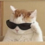 yeonwoo onlyfans leaked picture 1